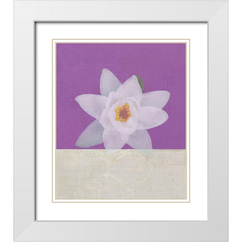 Water Lily White Modern Wood Framed Art Print with Double Matting by JMB Designs