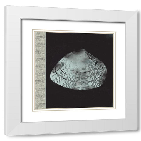 Seashell White Modern Wood Framed Art Print with Double Matting by JMB Designs
