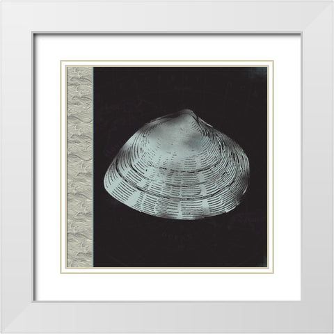 Seashell White Modern Wood Framed Art Print with Double Matting by JMB Designs