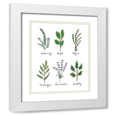 Herbs White Modern Wood Framed Art Print with Double Matting by Tyndall, Elizabeth