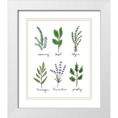 Herbs White Modern Wood Framed Art Print with Double Matting by Tyndall, Elizabeth