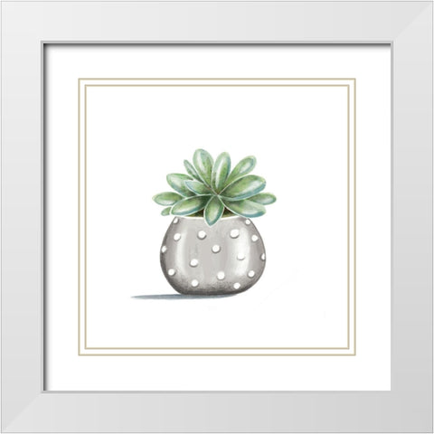 Polka Dot Succulent White Modern Wood Framed Art Print with Double Matting by Tyndall, Elizabeth