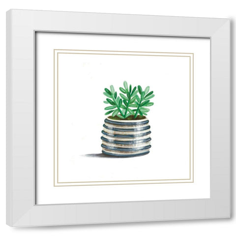Striped Succulent White Modern Wood Framed Art Print with Double Matting by Tyndall, Elizabeth