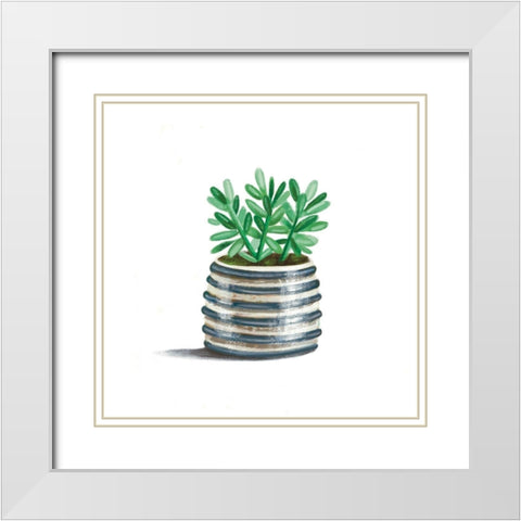 Striped Succulent White Modern Wood Framed Art Print with Double Matting by Tyndall, Elizabeth