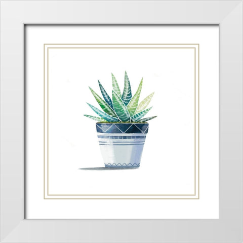 Aloe Plant White Modern Wood Framed Art Print with Double Matting by Tyndall, Elizabeth