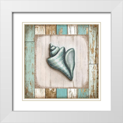 Turquoise Seashell White Modern Wood Framed Art Print with Double Matting by Tyndall, Elizabeth