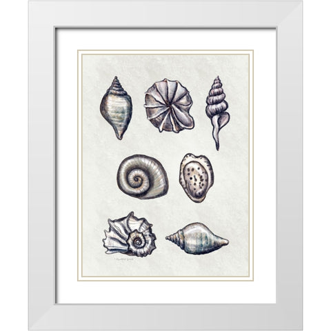 Shells I White Modern Wood Framed Art Print with Double Matting by Tyndall, Elizabeth