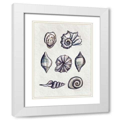 Shells II White Modern Wood Framed Art Print with Double Matting by Tyndall, Elizabeth