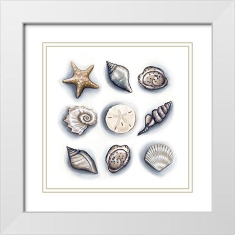Oasis Shells White Modern Wood Framed Art Print with Double Matting by Tyndall, Elizabeth