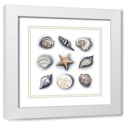 Oasis Shells II White Modern Wood Framed Art Print with Double Matting by Tyndall, Elizabeth