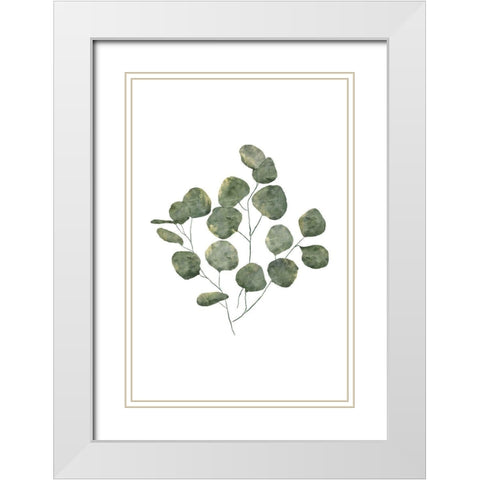 Eucalyptus Leaves White Modern Wood Framed Art Print with Double Matting by JJ Design