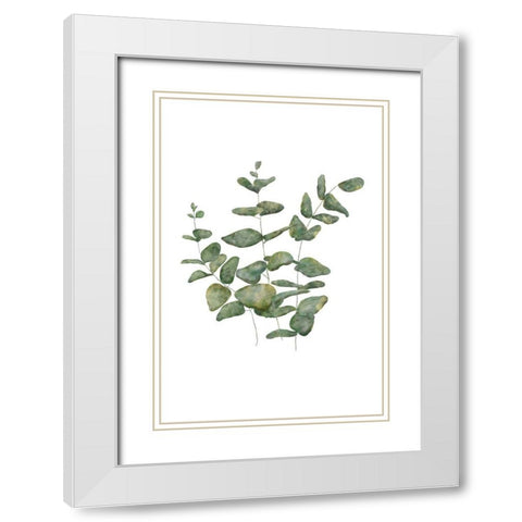 Eucalyptus Leaves II White Modern Wood Framed Art Print with Double Matting by JJ Design