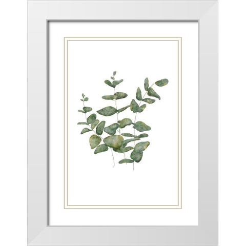 Eucalyptus Leaves II White Modern Wood Framed Art Print with Double Matting by JJ Design