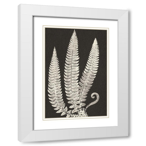 Vintage Ferns White Modern Wood Framed Art Print with Double Matting by JJ Design