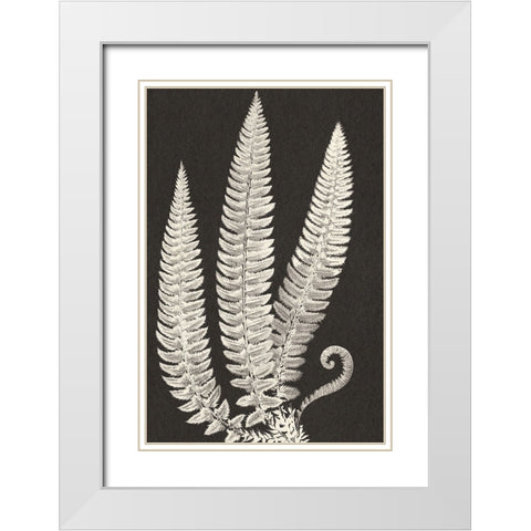 Vintage Ferns White Modern Wood Framed Art Print with Double Matting by JJ Design