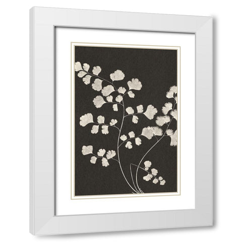 Vintage Ferns III White Modern Wood Framed Art Print with Double Matting by JJ Design