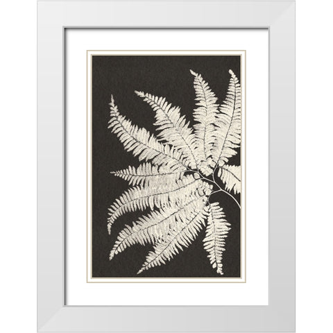 Vintage Ferns V White Modern Wood Framed Art Print with Double Matting by JJ Design