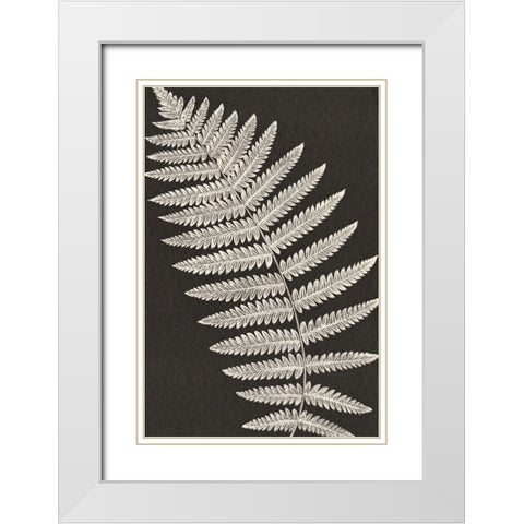 Vintage Ferns VI White Modern Wood Framed Art Print with Double Matting by JJ Design