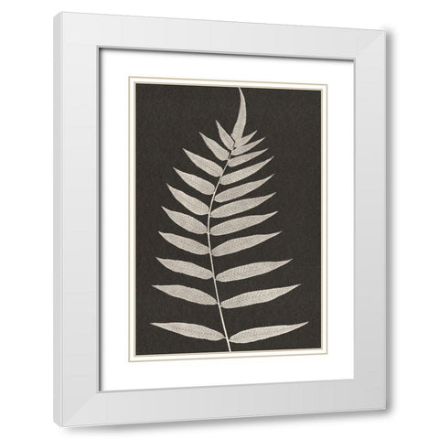 Vintage Ferns VIII White Modern Wood Framed Art Print with Double Matting by JJ Design