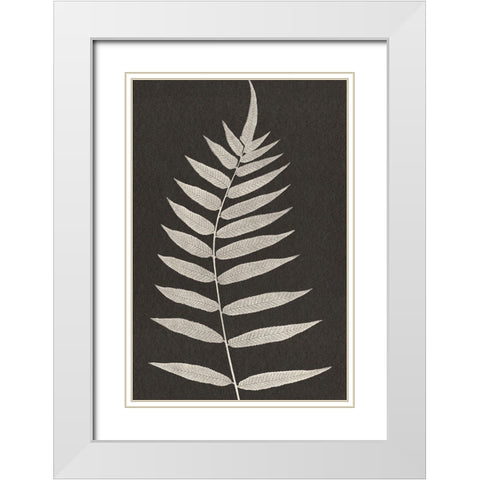 Vintage Ferns VIII White Modern Wood Framed Art Print with Double Matting by JJ Design
