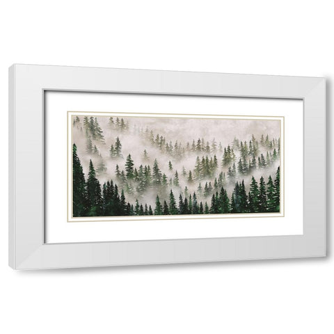 Misty Forest White Modern Wood Framed Art Print with Double Matting by JJ Design