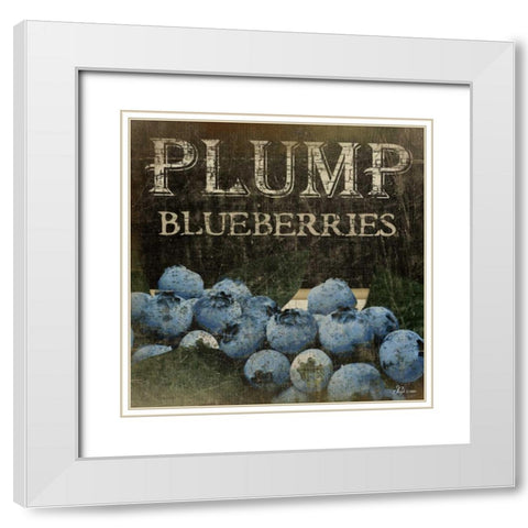 Plump Blueberries White Modern Wood Framed Art Print with Double Matting by Pugh, Jennifer