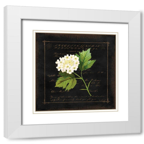 Floral II White Modern Wood Framed Art Print with Double Matting by Pugh, Jennifer