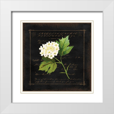 Floral II White Modern Wood Framed Art Print with Double Matting by Pugh, Jennifer