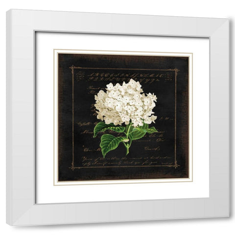 Floral IV White Modern Wood Framed Art Print with Double Matting by Pugh, Jennifer