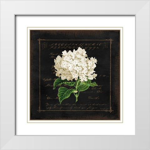 Floral IV White Modern Wood Framed Art Print with Double Matting by Pugh, Jennifer