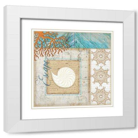 Coastal Nautilus Shell White Modern Wood Framed Art Print with Double Matting by Pugh, Jennifer