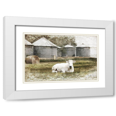 White Cow White Modern Wood Framed Art Print with Double Matting by Pugh, Jennifer