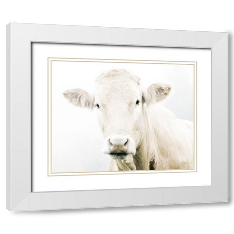Cow II White Modern Wood Framed Art Print with Double Matting by Pugh, Jennifer