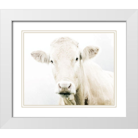 Cow II White Modern Wood Framed Art Print with Double Matting by Pugh, Jennifer