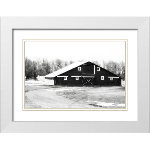 Barn V White Modern Wood Framed Art Print with Double Matting by Pugh, Jennifer