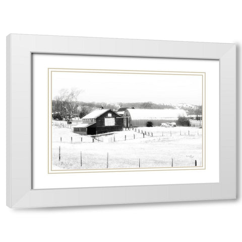 Barn VI White Modern Wood Framed Art Print with Double Matting by Pugh, Jennifer