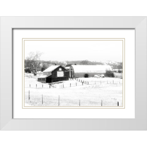 Barn VI White Modern Wood Framed Art Print with Double Matting by Pugh, Jennifer