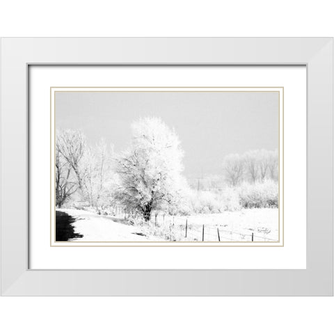 Winter Scene White Modern Wood Framed Art Print with Double Matting by Pugh, Jennifer