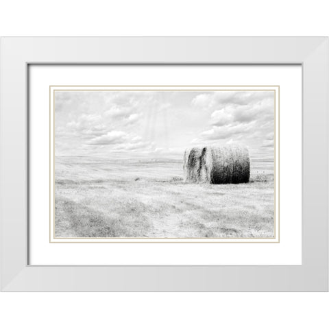 Hay Bales White Modern Wood Framed Art Print with Double Matting by Pugh, Jennifer