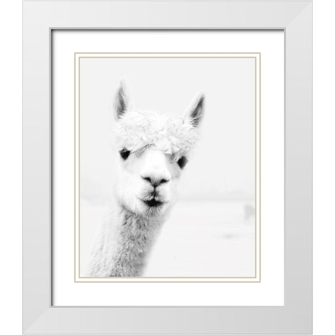 Llama White Modern Wood Framed Art Print with Double Matting by Pugh, Jennifer