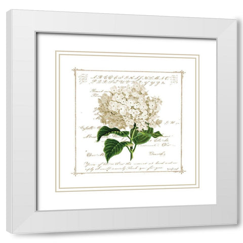 Floral IV White Modern Wood Framed Art Print with Double Matting by Pugh, Jennifer