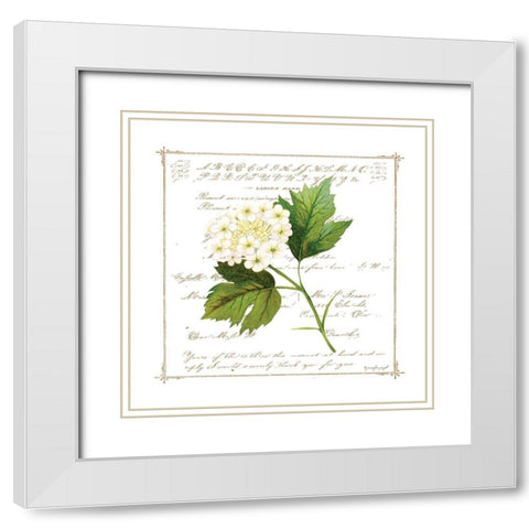 Floral II White Modern Wood Framed Art Print with Double Matting by Pugh, Jennifer