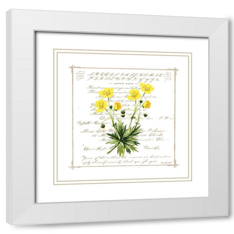 Floral VI White Modern Wood Framed Art Print with Double Matting by Pugh, Jennifer