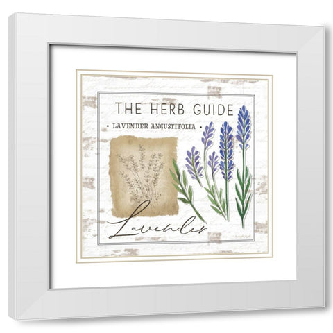 Herb Guide - Lavender White Modern Wood Framed Art Print with Double Matting by Pugh, Jennifer