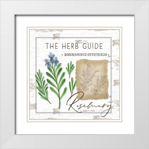 Herb Guide - Rosemary White Modern Wood Framed Art Print with Double Matting by Pugh, Jennifer