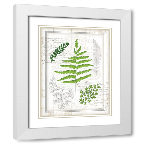 Ferns I White Modern Wood Framed Art Print with Double Matting by Pugh, Jennifer