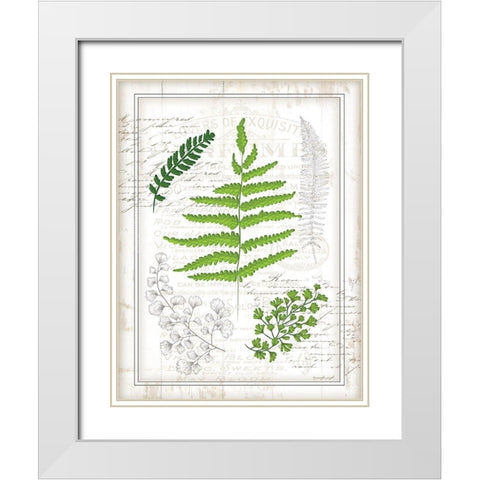 Ferns I White Modern Wood Framed Art Print with Double Matting by Pugh, Jennifer