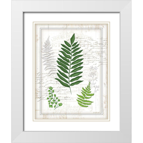 Ferns II White Modern Wood Framed Art Print with Double Matting by Pugh, Jennifer