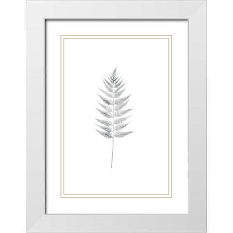 Palm I White Modern Wood Framed Art Print with Double Matting by Pugh, Jennifer