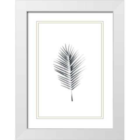 Palm II White Modern Wood Framed Art Print with Double Matting by Pugh, Jennifer